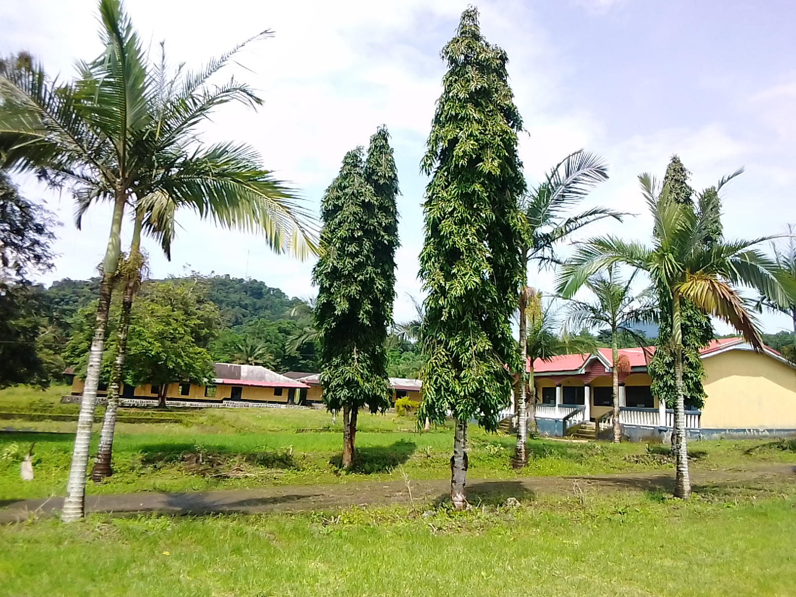 A Peaceful Learning Environment